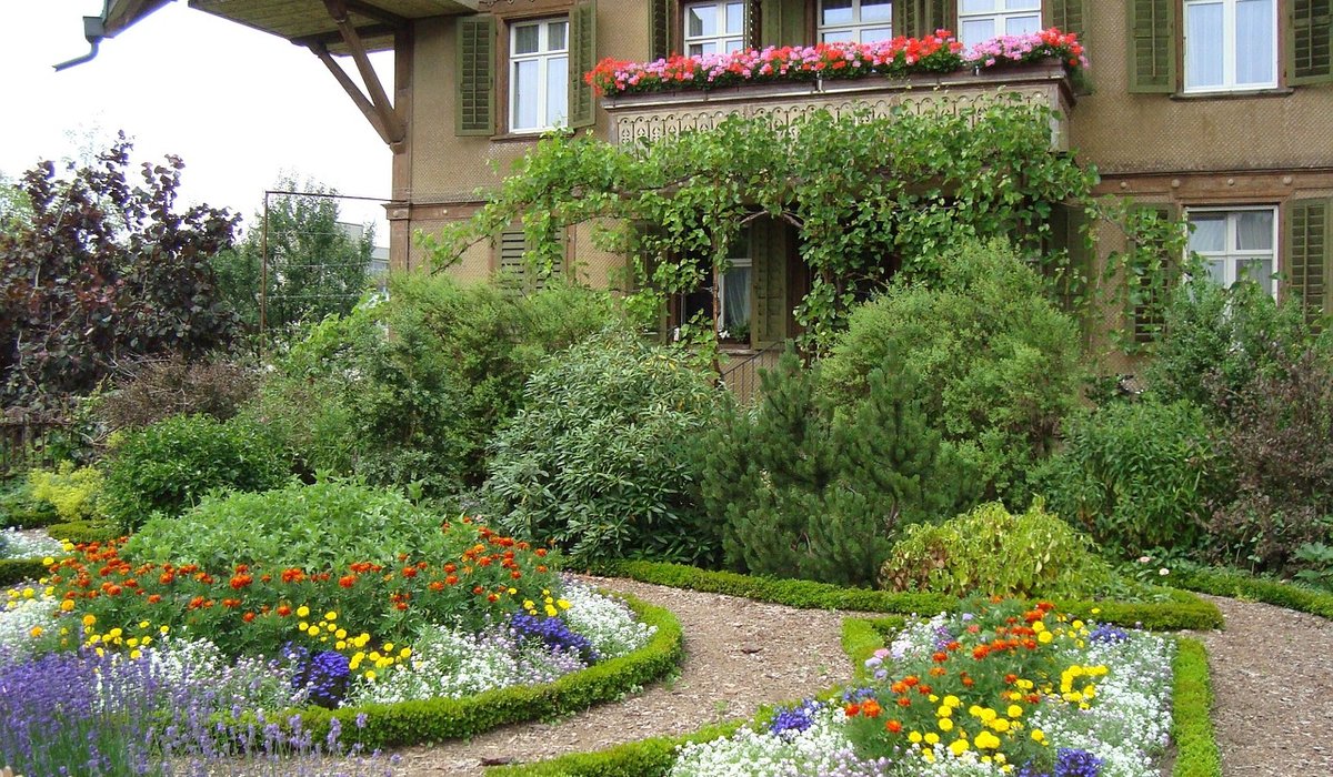 Best Herbs to Grow in Pots on a Windowsill