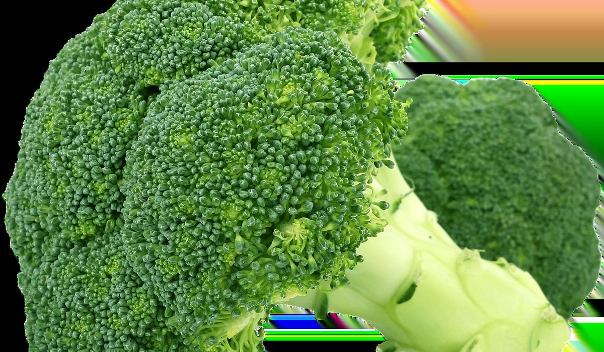 Growing Salad Leaves Successively for Continuous Harvests